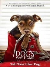 A Dog’s Way Home (2019) BluRay Telugu Dubbed