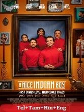 A Nice Indian Boy (2025) HDRip Telugu Dubbed