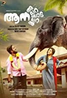 Aana Alaralodalaral (2017) HDTVRip Malayalam