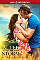 After the Storm (2019) HDTV English