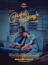 All We Imagine as Light (2024) HDRip Malayalam