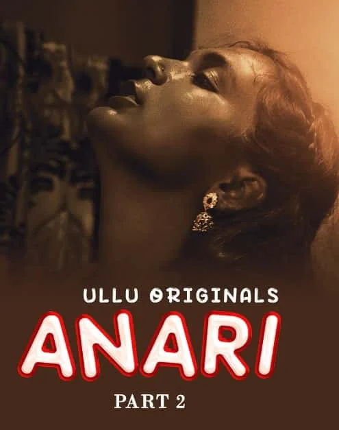 Anari Part 2 (2023) HDRip Hindi