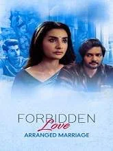 Arranged Marriage (2020) HDRip Hindi