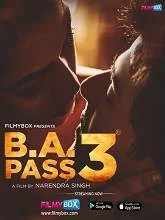 B.A. Pass 3 (2021) HDRip Hindi