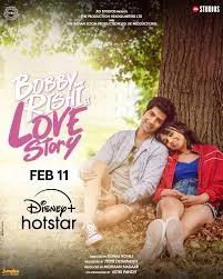 Bobby Aur Rishi Ki Love Story (2025) HDRip Hindi