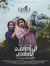 Feminichi Fathima (2025) HDRip Malayalam