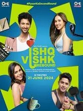 Ishq Vishk Rebound (2024) HDRip Hindi