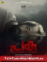 Paka (2022) HDRip Malayalam