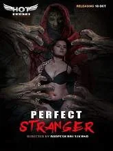 Perfect Stranger (2020) HDRip Hindi