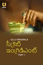 Secret Ingredient Part 1 (2023) HDRip Hindi
