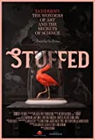 Stuffed (2019) HDRip English