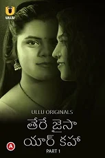 Tere Jaisa Yaar Kaha Part 1 Ullu Originals (2023) HDRip Telugu
