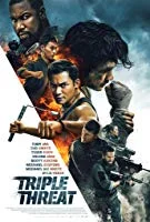 Triple Threat (2019) HDRip English