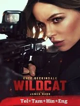 Wildcat (2025) HDRip Telugu Dubbed