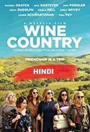 Wine Country (2019) BRRip English
