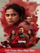 Ziddi Ishq Season 1 (2025) HDRip